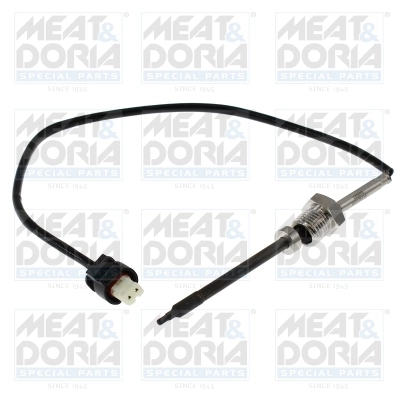 Sensor, exhaust gas temperature